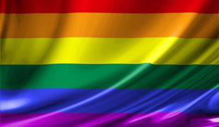 The Gay Flag